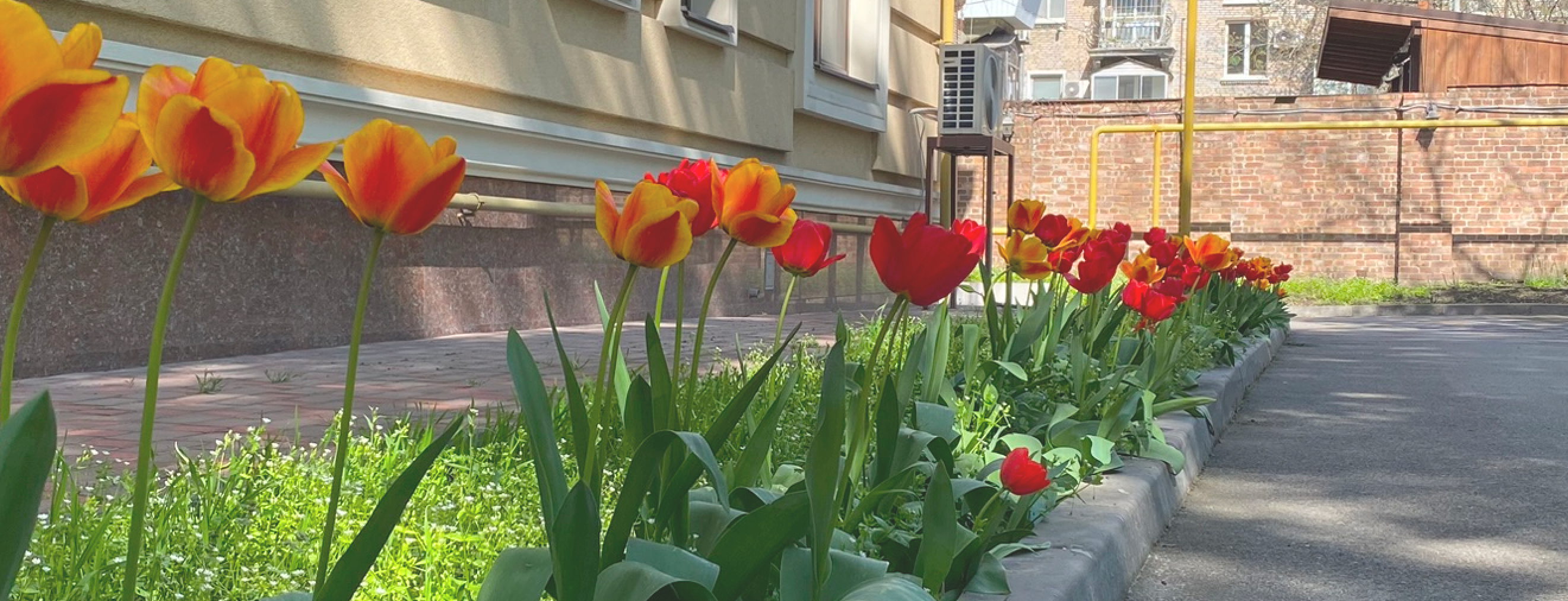 Helvetia Courtyard